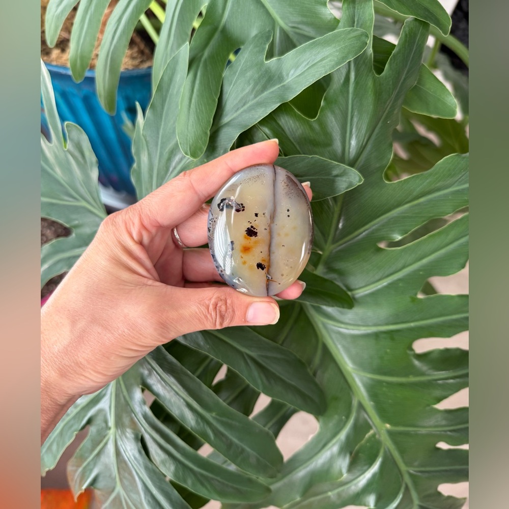 Dendritic Agate Palmstone
